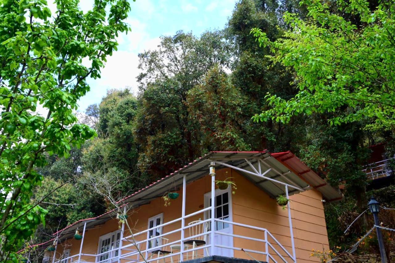 Aamod At Shoghi Luxury Cottage Resort Шимла Екстериор снимка